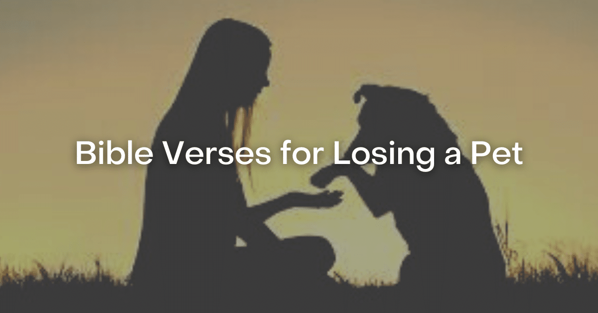 Bible Verses for Losing a Pet