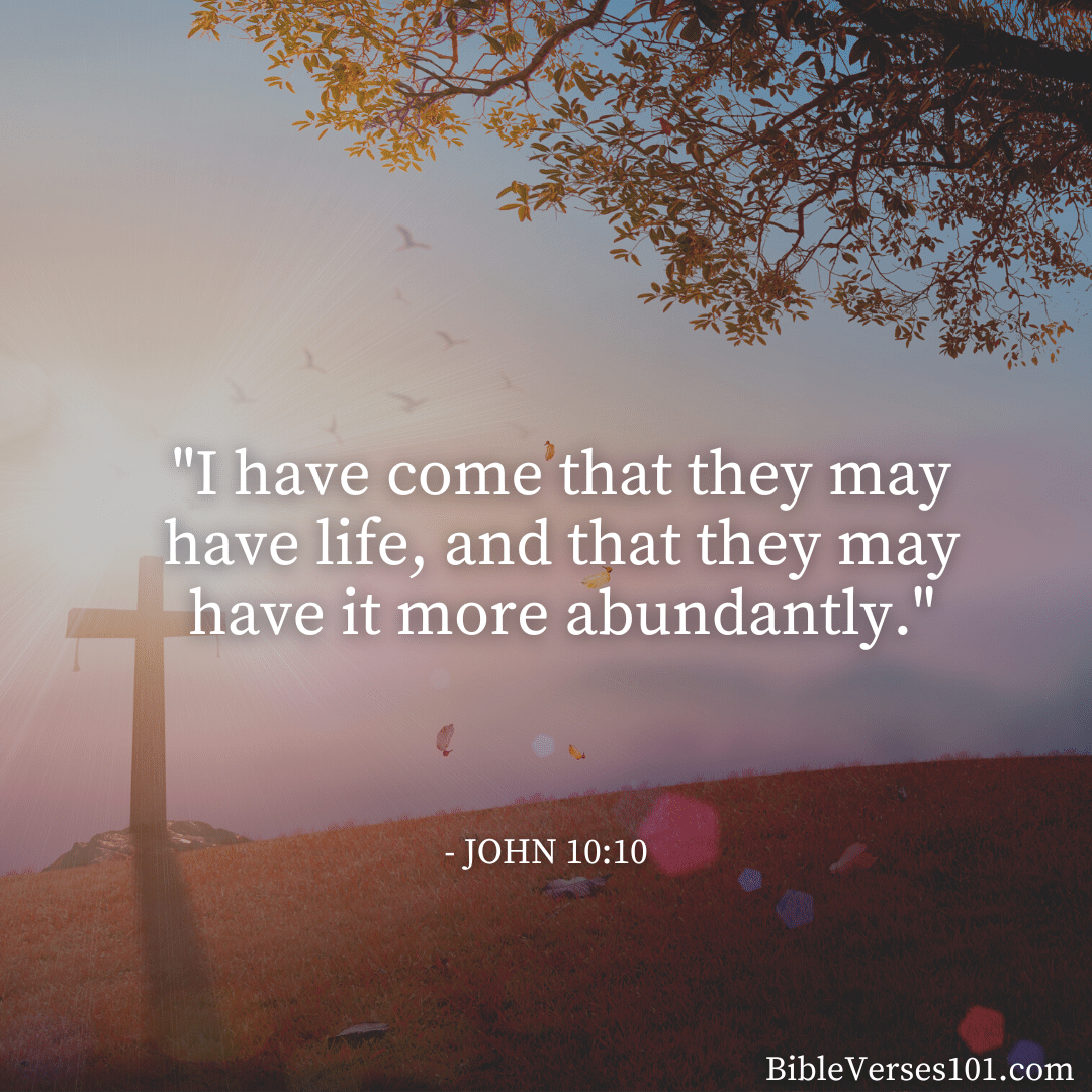 37+ Bible Verses for Funerals and Celebrations of Life