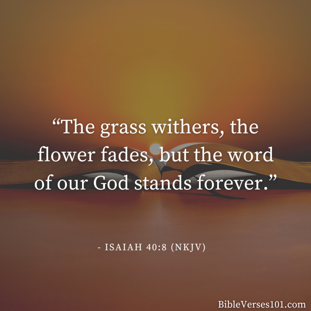 53+ Bible Verses About Nature