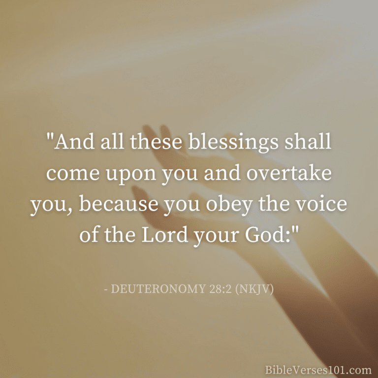 53+ Bible Verses About Blessings and Being Blessed